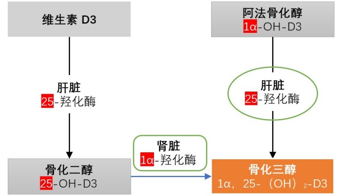 維生素D3及其結(jié)構(gòu)類似物生物樣品分析